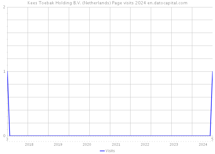 Kees Toebak Holding B.V. (Netherlands) Page visits 2024 