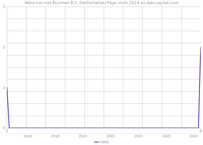 Wens het met Bloemen B.V. (Netherlands) Page visits 2024 
