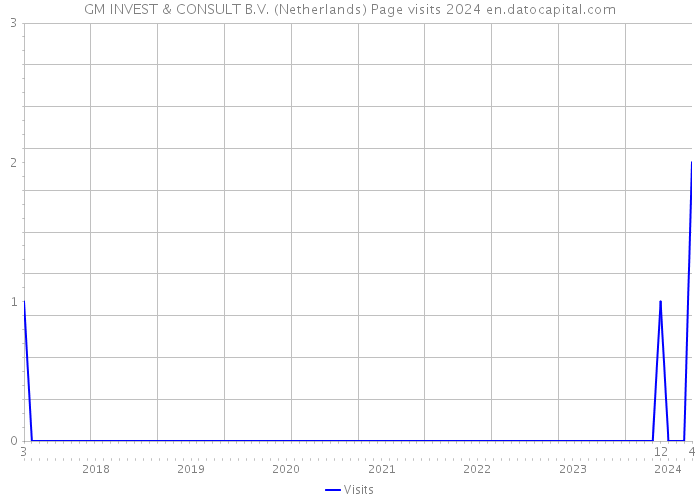 GM INVEST & CONSULT B.V. (Netherlands) Page visits 2024 