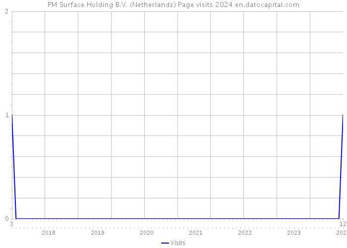 PM Surface Holding B.V. (Netherlands) Page visits 2024 