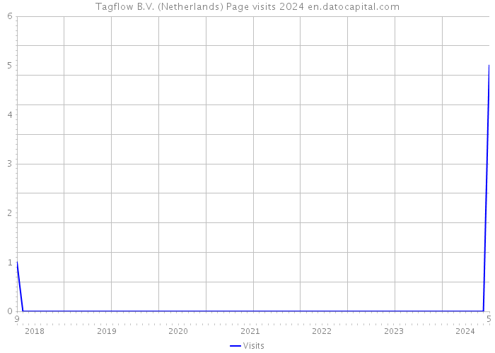 Tagflow B.V. (Netherlands) Page visits 2024 