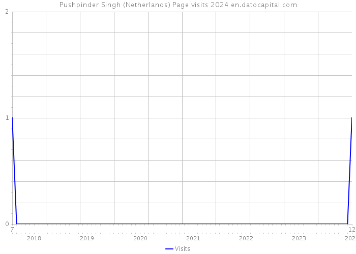 Pushpinder Singh (Netherlands) Page visits 2024 
