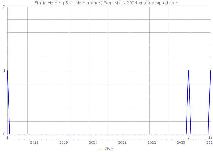 Birnie Holding B.V. (Netherlands) Page visits 2024 