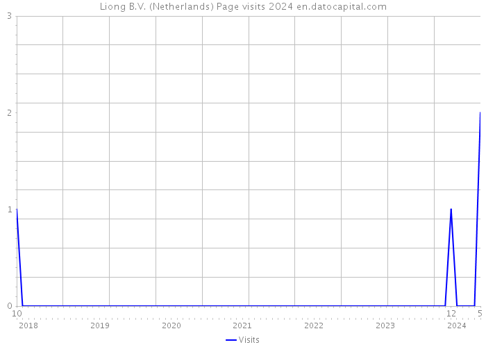 Liong B.V. (Netherlands) Page visits 2024 