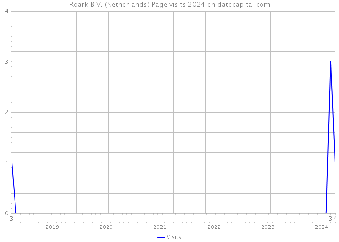 Roark B.V. (Netherlands) Page visits 2024 
