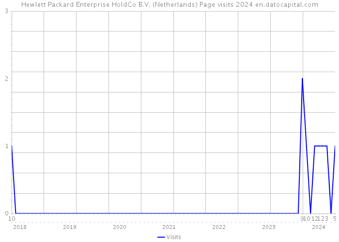 Hewlett Packard Enterprise HoldCo B.V. (Netherlands) Page visits 2024 