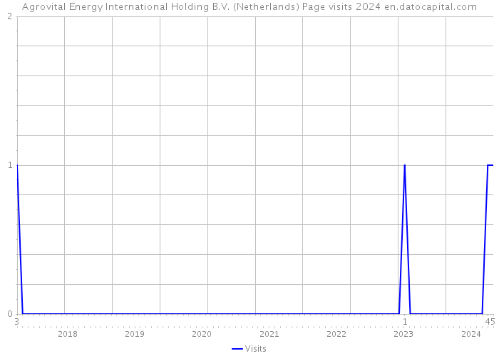 Agrovital Energy International Holding B.V. (Netherlands) Page visits 2024 