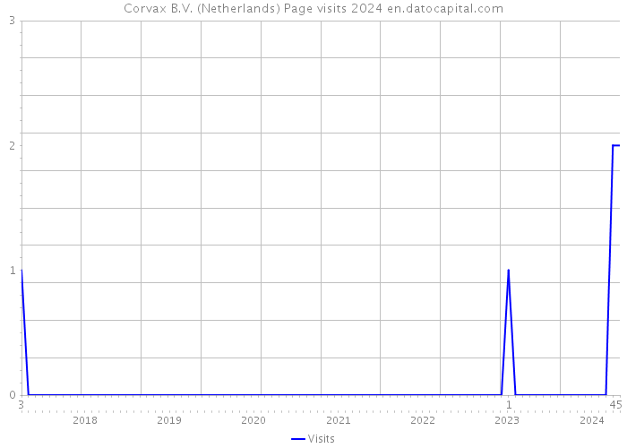 Corvax B.V. (Netherlands) Page visits 2024 