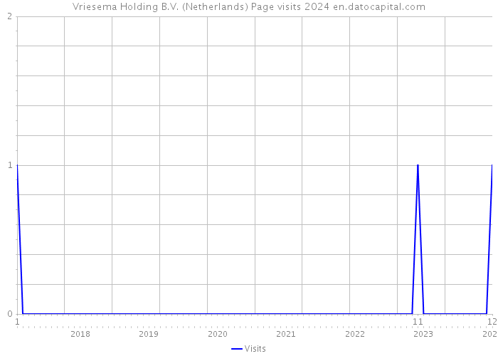 Vriesema Holding B.V. (Netherlands) Page visits 2024 