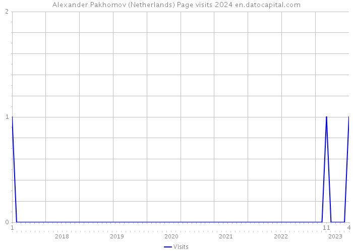 Alexander Pakhomov (Netherlands) Page visits 2024 