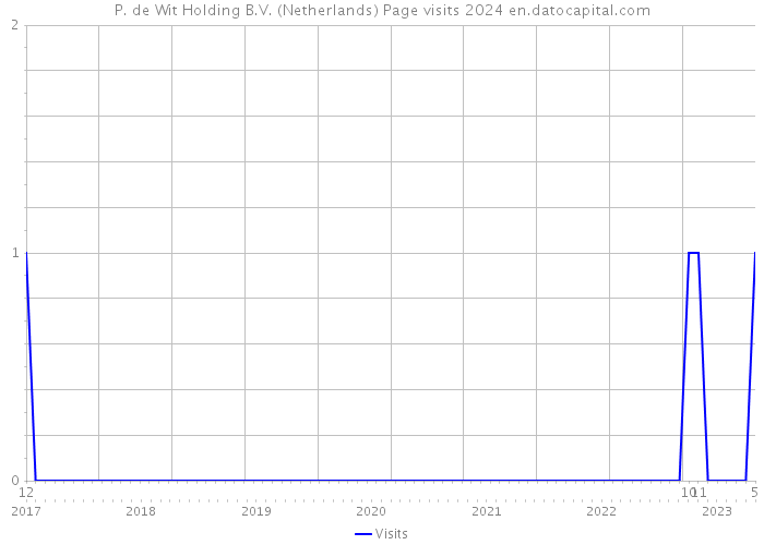 P. de Wit Holding B.V. (Netherlands) Page visits 2024 