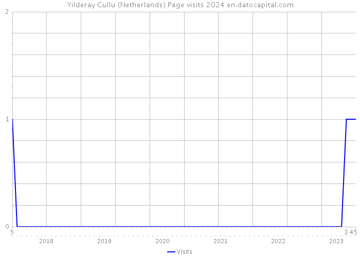Yilderay Cullu (Netherlands) Page visits 2024 