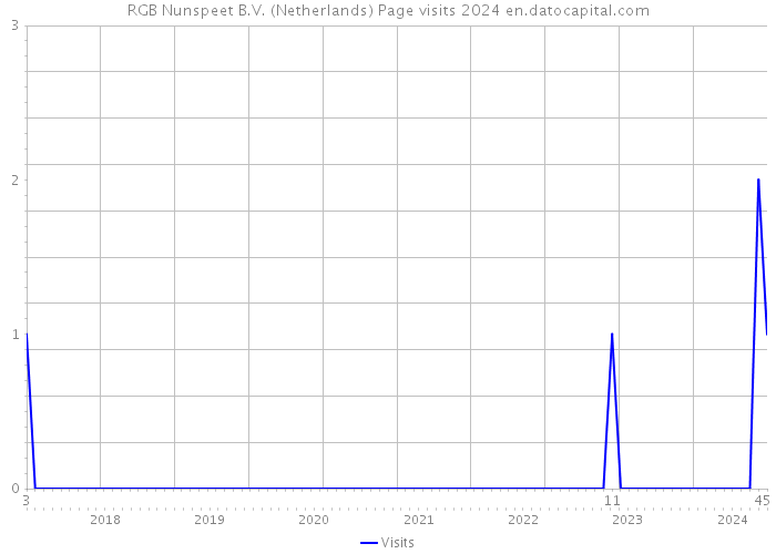RGB Nunspeet B.V. (Netherlands) Page visits 2024 