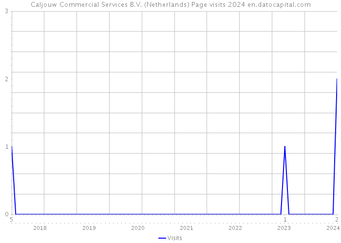 Caljouw Commercial Services B.V. (Netherlands) Page visits 2024 