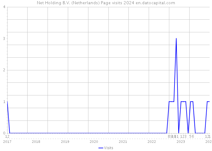 Net Holding B.V. (Netherlands) Page visits 2024 