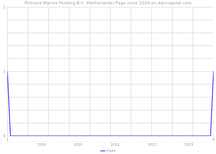 Princess Marine Holding B.V. (Netherlands) Page visits 2024 