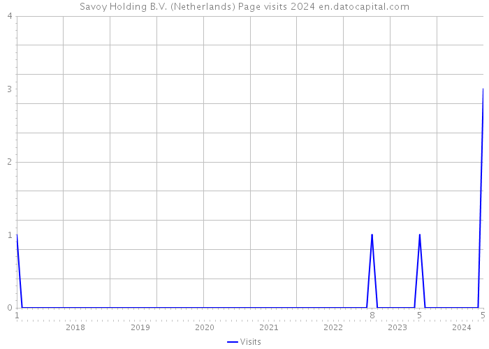 Savoy Holding B.V. (Netherlands) Page visits 2024 