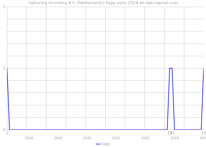 Valkering Incoming B.V. (Netherlands) Page visits 2024 