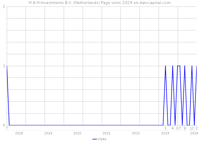 H & H Investments B.V. (Netherlands) Page visits 2024 