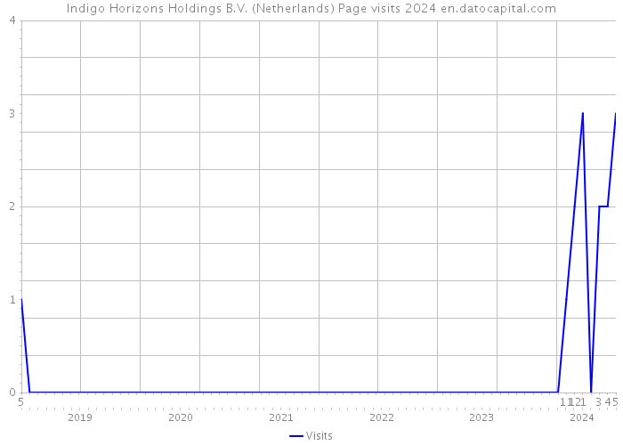 Indigo Horizons Holdings B.V. (Netherlands) Page visits 2024 