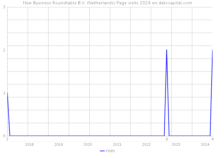 New Business Roundtable B.V. (Netherlands) Page visits 2024 