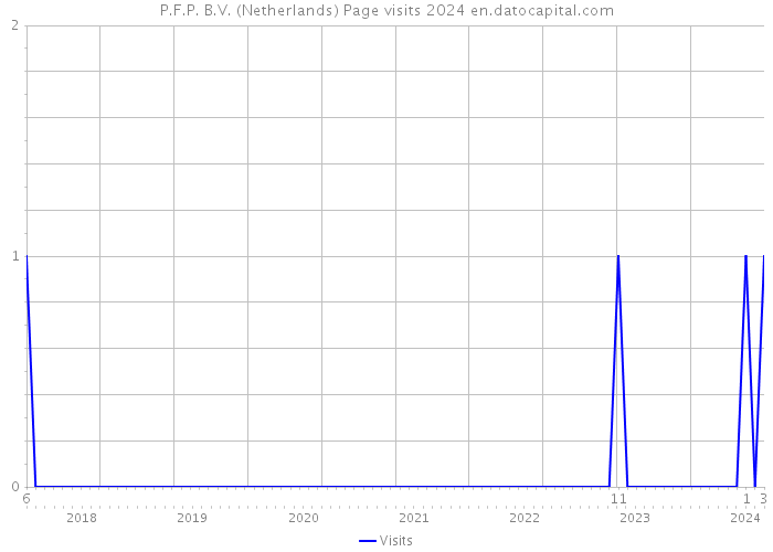 P.F.P. B.V. (Netherlands) Page visits 2024 
