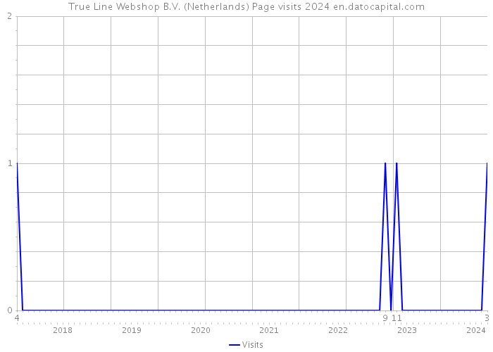 True Line Webshop B.V. (Netherlands) Page visits 2024 
