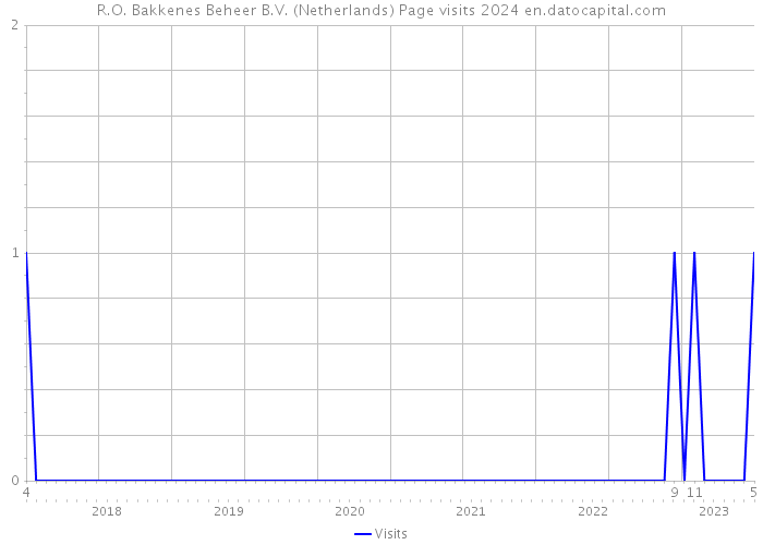 R.O. Bakkenes Beheer B.V. (Netherlands) Page visits 2024 