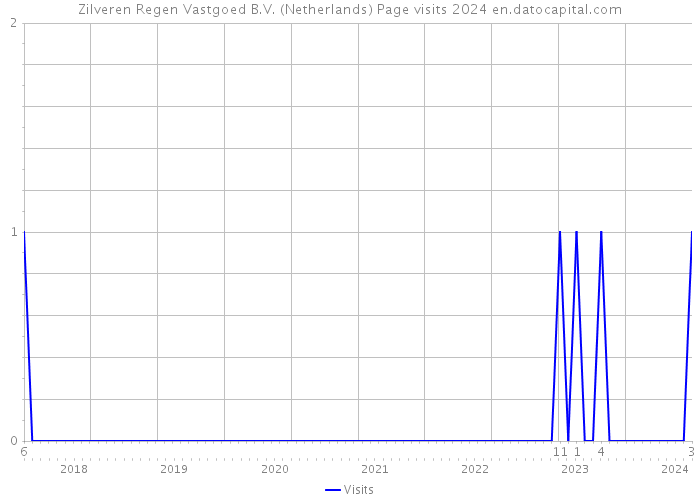 Zilveren Regen Vastgoed B.V. (Netherlands) Page visits 2024 