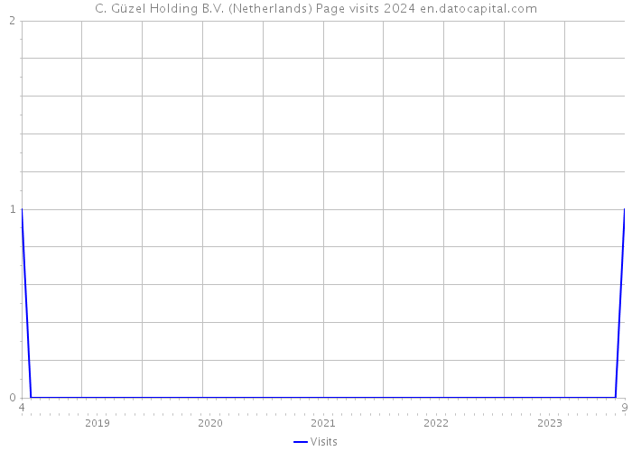 C. Güzel Holding B.V. (Netherlands) Page visits 2024 