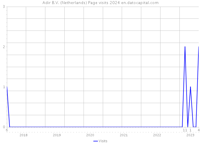 Adir B.V. (Netherlands) Page visits 2024 