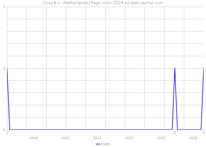 Cosy B.V. (Netherlands) Page visits 2024 