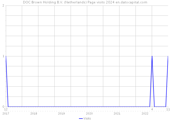 DOC Brown Holding B.V. (Netherlands) Page visits 2024 