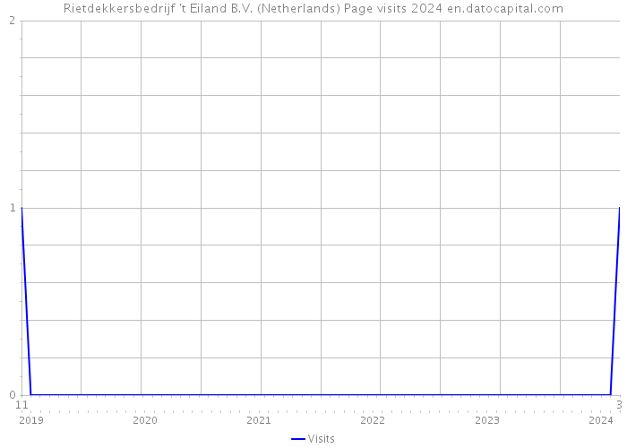Rietdekkersbedrijf 't Eiland B.V. (Netherlands) Page visits 2024 