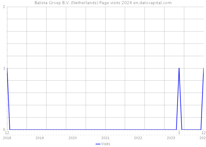 Balista Groep B.V. (Netherlands) Page visits 2024 