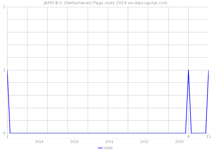 JAHO B.V. (Netherlands) Page visits 2024 