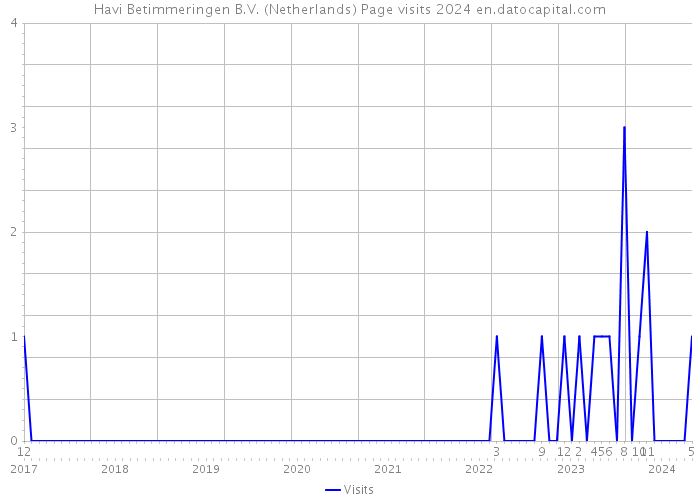Havi Betimmeringen B.V. (Netherlands) Page visits 2024 