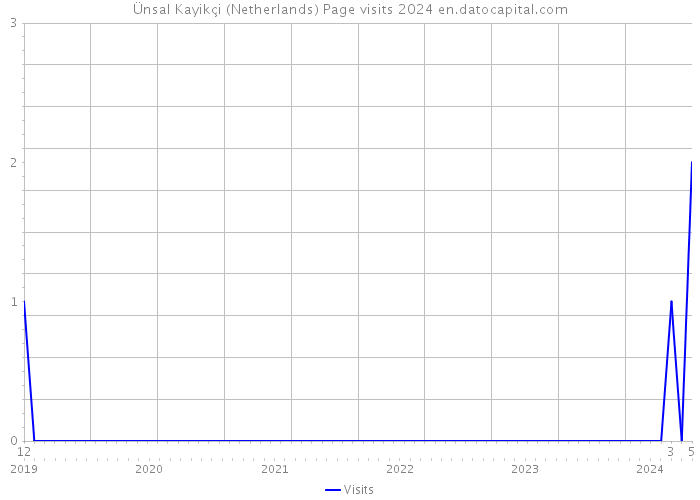 Ünsal Kayikçi (Netherlands) Page visits 2024 