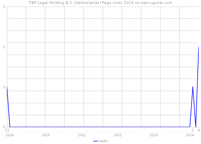 T&P Legal Holding B.V. (Netherlands) Page visits 2024 