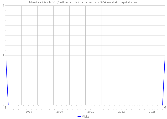 Montea Oss N.V. (Netherlands) Page visits 2024 