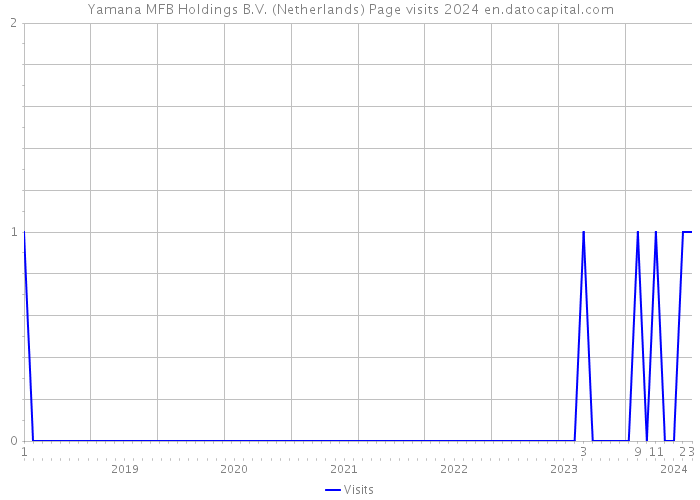 Yamana MFB Holdings B.V. (Netherlands) Page visits 2024 