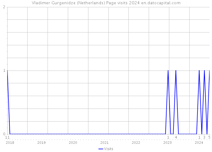 Vladimer Gurgenidze (Netherlands) Page visits 2024 