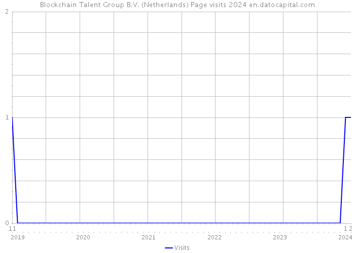 Blockchain Talent Group B.V. (Netherlands) Page visits 2024 