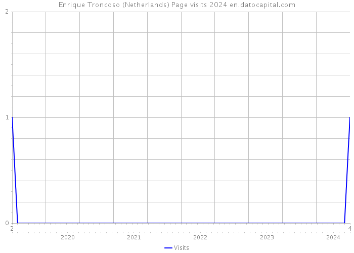Enrique Troncoso (Netherlands) Page visits 2024 