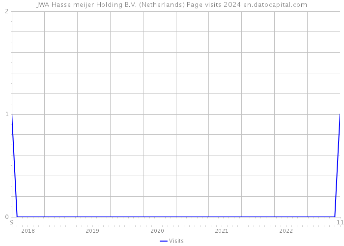 JWA Hasselmeijer Holding B.V. (Netherlands) Page visits 2024 