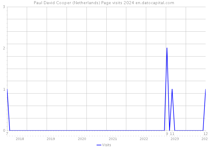 Paul David Cooper (Netherlands) Page visits 2024 