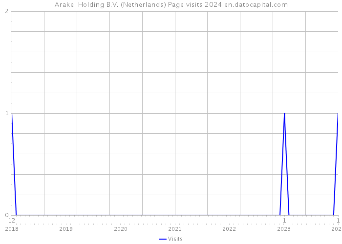 Arakel Holding B.V. (Netherlands) Page visits 2024 