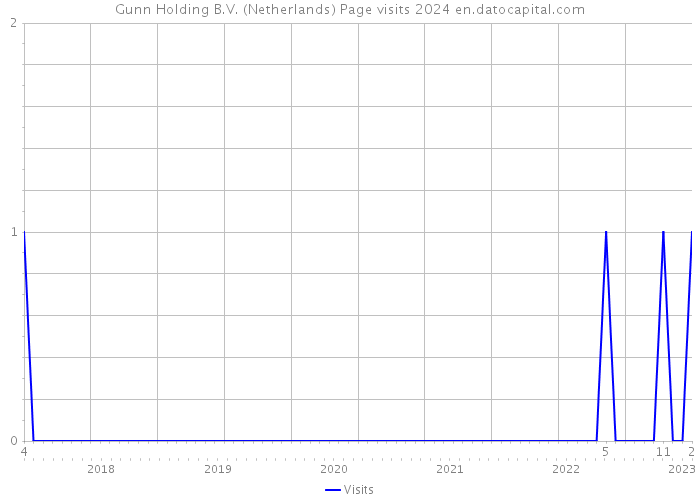 Gunn Holding B.V. (Netherlands) Page visits 2024 