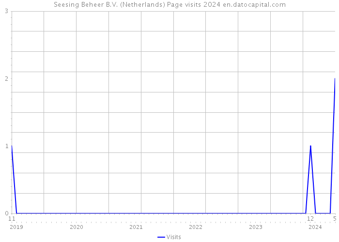 Seesing Beheer B.V. (Netherlands) Page visits 2024 
