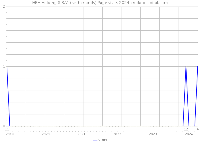HBH Holding 3 B.V. (Netherlands) Page visits 2024 